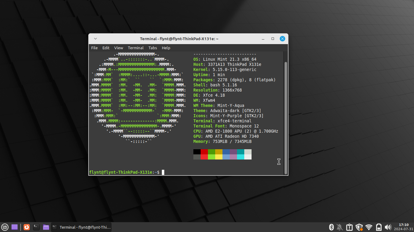 Linux Mint with XFCE running on the ThinkPad